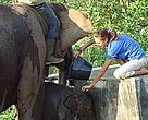 Imbo receives a bath before his naming ceremony