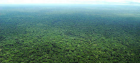 Aerial view of Iténez Protected Area (Bolivian Amazon) / ©: WWF Bolivia / Gustavo YBARRA rel=