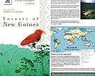 Forests of New Guinea Ecoregion
