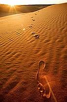 Our ecological footprint – that is the impact of humanity on the earth – has increased two and half ... / ©: WWF-Canon / Martin Harvey / ©: WWF-Canon / Martin Harvey