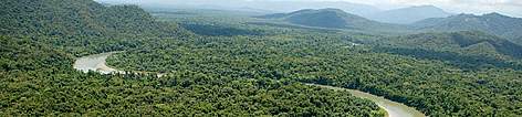 The rainforests of New Guinea are the 3rd largest in the world after the Amazon and Congo. East ... / ©: Brent Stirton / Getty Images / WWF-UK rel=