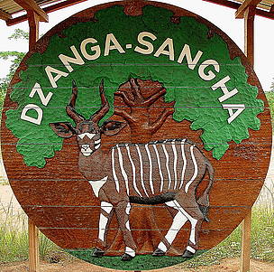 Dzanga-Sangha billboard / ©: Chloé Cipolletta / ©: Chloé Cipolletta