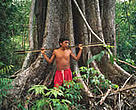 Yanomami hunting in the Amazon rainforest. Roraima Province, Brazil.