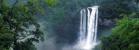  / &copy;: WWF Laos