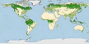 G200 Forest Map / ©: WWF G200 Forest Map / ©: WWF