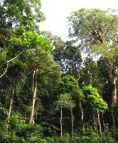  / &copy;: WWF / Supol JITVIJAK