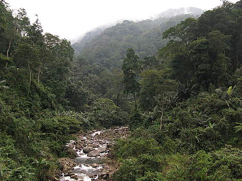 Headwaters in Quang Nam Province, part of the Central Annamites landscape. This landscape covers ... / ©: WWF / Marc GOICHOT rel=