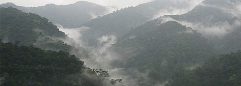 The misty mountains of Kuiburi National Park in Kayah Karen Tenasserim ecoregion, Thailand, near ... / ©: Supol Jitvijak / WWF Greater Mekong rel=