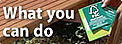 What you can do to protect forests - whether you are a consumer, a retailer, a forest manager or ... / ©: WWF / ©: WWF