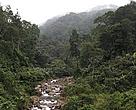 Headwaters in Quang Nam Province, part of the Central Annamites landscape. This landscape covers part of Vietnam and Laos. This forms part of the Greater Annamites, one of WWF’s Global 200 ecoregions – the richest, rarest, and most diverse natural habitats in the world.