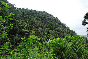  / &copy;: WWF-MWIOPO / M. Lippuner