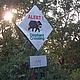 Elephant crossing at the Rajaji National Park, Uttarakhand, India © WWF / Diana Zazueta