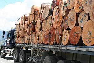 Transport of wood on the colombian roads. - © WWF / Andy KENWOTHY