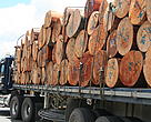 Transporte de madera por las carreteras de Colombia.