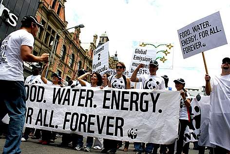  / &copy;: WWF