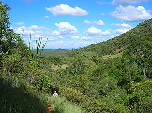 Hiking in the spiny forest / ©: WWF / Franziska Peuser / ©: WWF / Franziska Peuser