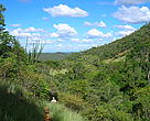 Hiking in the spiny forest