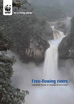 Free-flowing rivers report cover