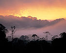Misty sunset on the Amazonian forests, French Guiana.