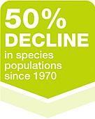  / &copy;: WWF
