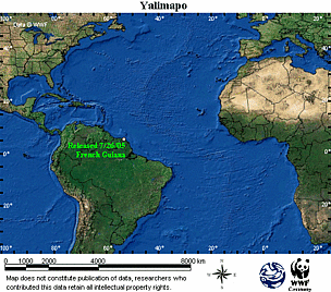 Map locator for this leatherback. Click to view an enlarged animated version. The latest positional ... / ©: WWF/CCC Map locator for this leatherback. Click to view an enlarged animated version. The latest positional ... / ©: WWF/CCC