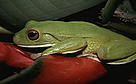  / &copy;: WWF-Canon / John RATCLIFFE 