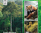 WWF Eastern Himalayas