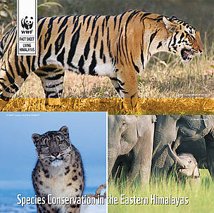  / &copy;: WWF Living Himalayas