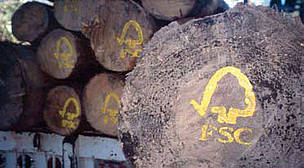 FSC Logs / ©: WWF/GFTN / ©: WWF/GFTN