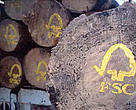 FSC Logs
