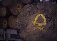  / &copy;: WWF-Canon / N.C. Turner