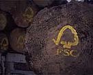 FSC logo painted on sustainably harvested logs.