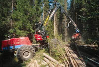Europe's pulp and paper sector is resonsible for more than 50% of wood consumption from Europe's ... / ©: WWF-Canon / Edward Parker / ©: WWF-Canon / Edward Parker
