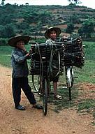 Collection of fuelwood is one of the threats to the Vu Quang Nature Reserve. / &copy;: WWF-Canon / Soh Koon CHNG