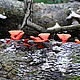Reserva Mbaracayu © Foto by Dagmar van Beurden