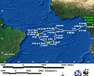 Static GIF file showing the turtle's tracks.