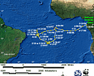 Static GIF file showing the turtle's tracks.