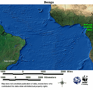 Map locator for this leatherback. Click to view an enlarged animated version. The latest positional ... / ©: WWF-CCC Animated map for Ibonga. / ©: WWF-CCC