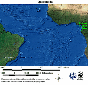 Animated map for Quasimoda. / &copy;: WWF-CCC