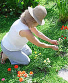 Woman gardening / &copy;: Private