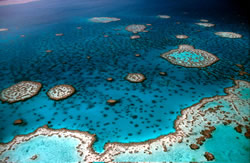 Australia's 2,000km-long Great Barrier Reef is the world’s largest coral reef.