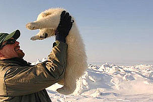 WWF International Arctic Programme Polar Bear Conservation Coordinator Geoff York with a polar bear cub