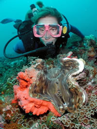 Diver with giant clam. - © WWF-Canon / Cat Holloway