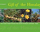 Gift of the Himalayas - high value plants and NTFPs - Report