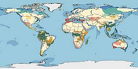 The Global 200 / ©: WWF Int. / ©: WWF Int.