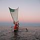 The daily Vezo ritual: fishing. They were surprised to see us go out with them but seemed quite happy © WWF / Dominic Tilley