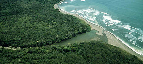  / &copy;: WWF-Canon / Olga SHEEAN
