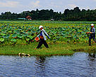 Across the Greater Mekong region people utilise healthy wetlands and rivers for fish and other aquatic resources. 