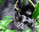 Nyabitondore with her twins.