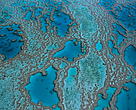 Great Barrier Reef Marine Park, Queensland, Australia.